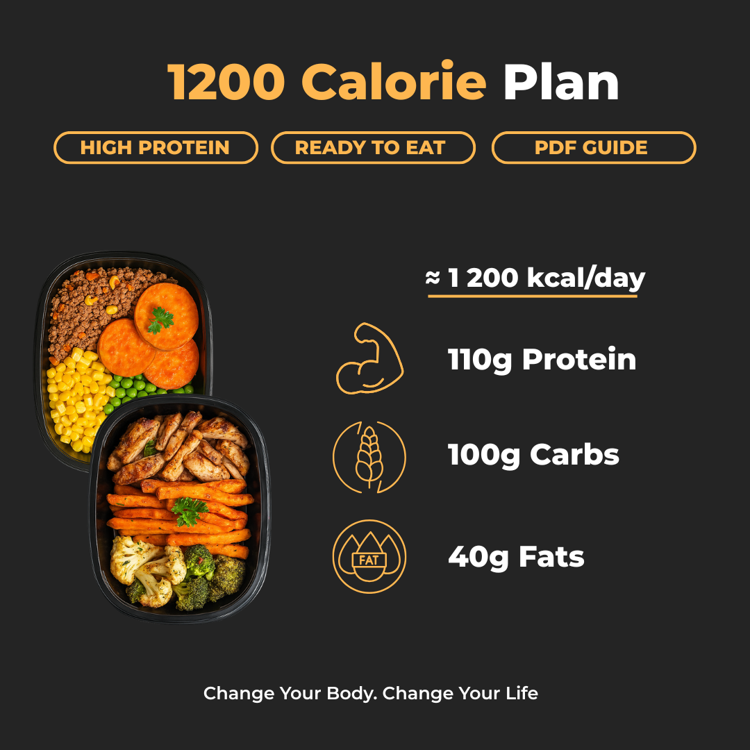 1200 Cal Per Day Plan + PDF Guide