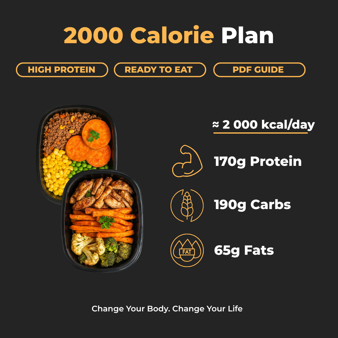 2000 Cal Per Day Plan + PDF Guide
