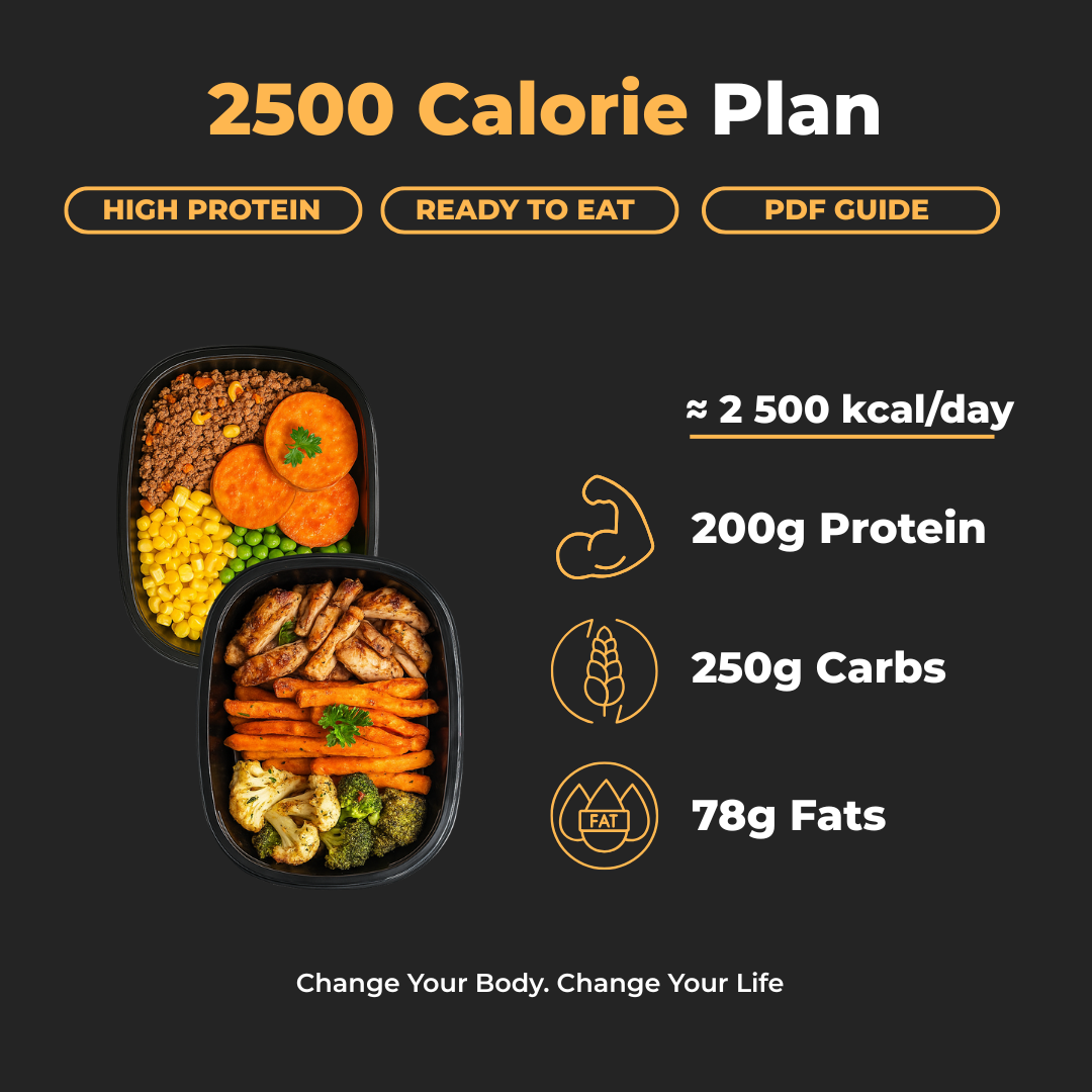 2500 Cal Per Day Plan + PDF Guide