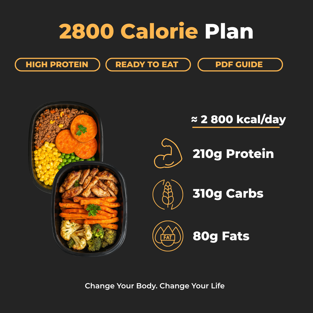 2800 Cal Per Day Plan + PDF Guide