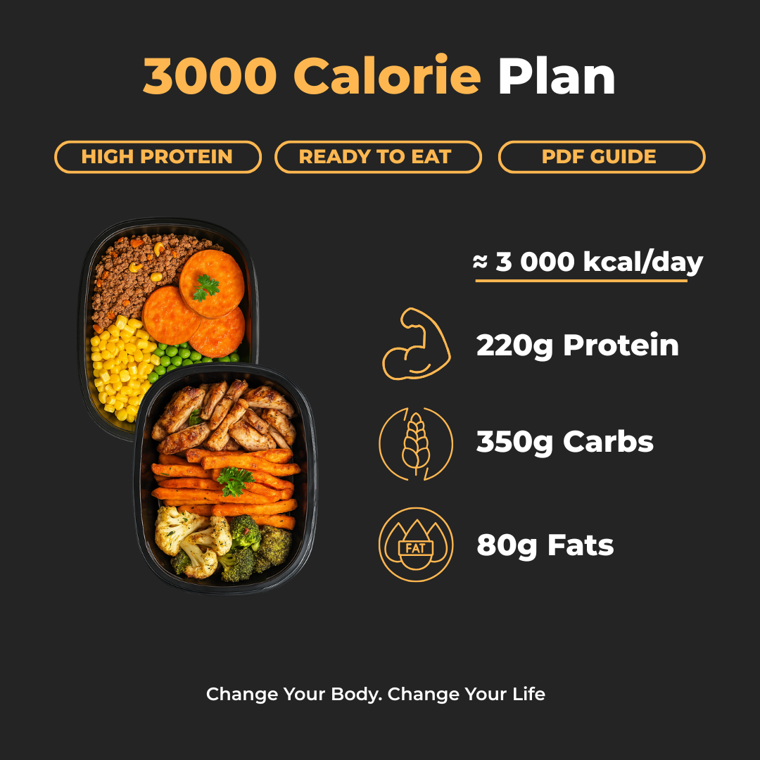 3000 Cal Per Day Plan + PDF Guide